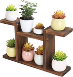 Wood Desktop Plant Stand Indoor - Windowsill Plant Shelf Small Tabletop Plant Holder, Flower Display Rack for Succulent Herb in Living Room Office 6 Tiers