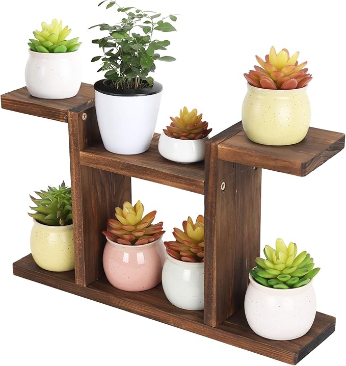 Wood Desktop Plant Stand Indoor - Windowsill Plant Shelf Small Tabletop Plant Holder, Flower Display Rack for Succulent Herb in Living Room Office 6 Tiers
