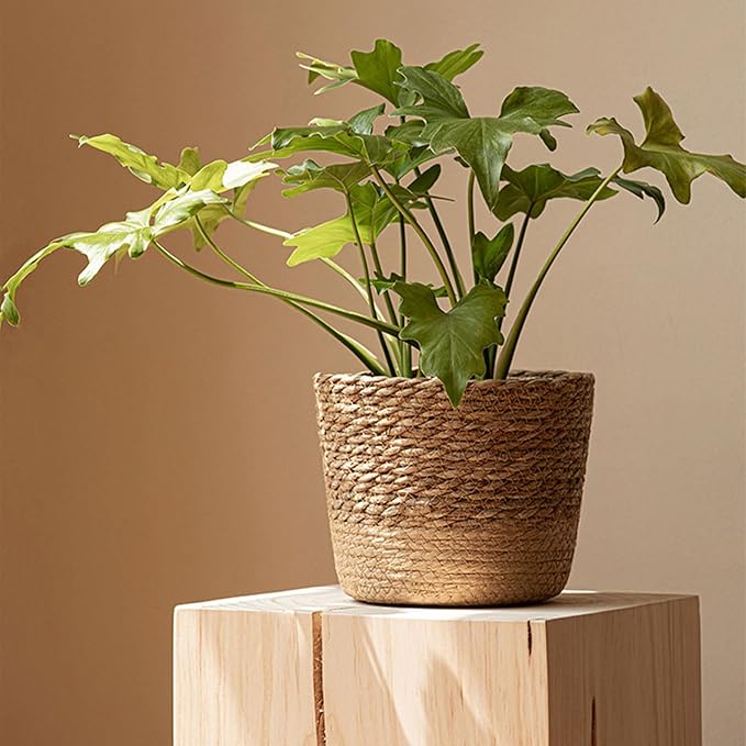 Handwoven Flower Basket Hand Woven Storage Basket Flower Baskets Plant Pot Bonsai Succulents Container Decoration Large Capacity Plant Pot