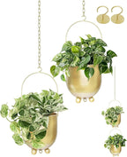 AceList Boho Hanging Planter,6.3 inch Set of 2 Gold Metal Plant Hanger with Hooks and Chains, Modern Wall & Ceiling Planters Outdoor/Indoor Hanging Planter for Window, Porch, Balcony and Home Décor