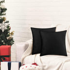 4 Pack 18x18 Pillow Cover Velvet Pillow Covers, Square Throw Pillow Covers for Living Room Decorations Throw Pillow Case, Throw Pillow Cover Cushion Cover for Sofa Bedroom Car, Black Velvet