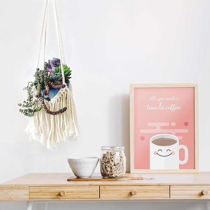 Modern Minimalist Bohemian Style Hanging Planters Plant Net Pocket Hand Woven Hanging Basket Holder Tapestry Flower Basket with Exquisite Tassel Indoor Balcony Decoration (Tassel)