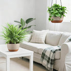 Set of 2 Hanging Planters for Indoor Outdoor Plants, 8 Inch Self-Watering Hanging Flower Pots with Drainage Hole & Removable Water-Storage Tray (Hooks)