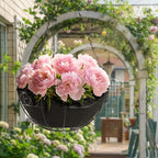 Non-Woven Fabric Plant Grow Bags Replacement Coco Liner Window Basket,Trough Shaped Wall and Deck Mount Planters,Round Hanging Basket (5-Pack, 14)
