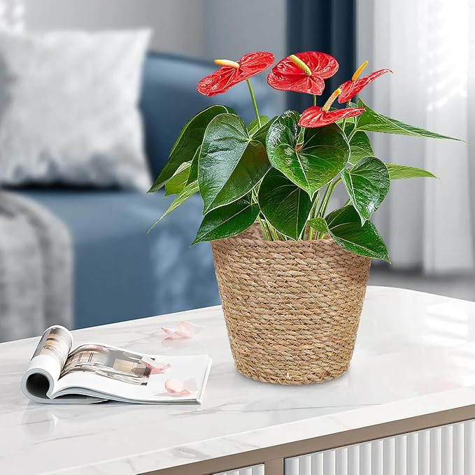 Straw Woven Plant Basket : Planter Basket with Plastic Liner Flower Pots for Home Balcony Farmhouse, 8.65X8.65X8.25in