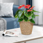 Straw Woven Plant Basket : Planter Basket with Plastic Liner Flower Pots for Home Balcony Farmhouse, 8.65X8.65X8.25in
