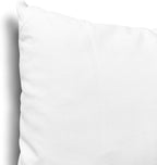 EDOW Throw Pillow Inserts, Set of 4 Lightweight Down Alternative Polyester Pillow, Couch Cushion, Sham Stuffer, Machine Washable. (White, 26x26)