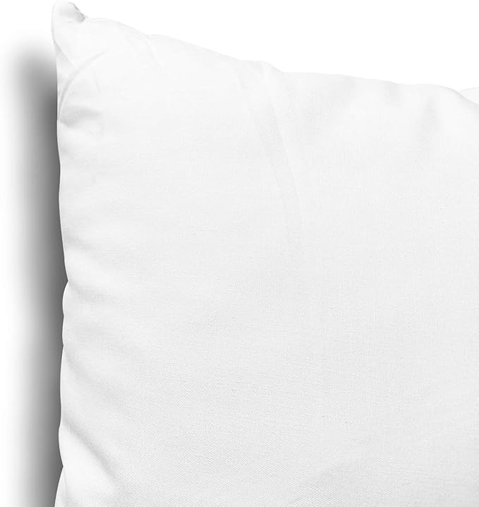 EDOW Throw Pillow Inserts, Set of 2 Lightweight Down Alternative Polyester Pillow, Couch Cushion, Sham Stuffer, Machine Washable. (White, 12x12)