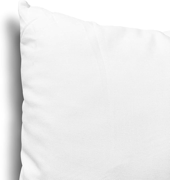 EDOW Throw Pillow Inserts, Set of 4 Lightweight Down Alternative Polyester Pillow, Couch Cushion, Sham Stuffer, Machine Washable. (White, 20x20)