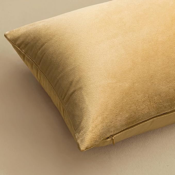 MIULEE 24x24 Inch Euro Sham Velvet Pillow Covers, Set of 2 Large Square Decorative Pillows -Khaki Super Soft for King Bed, Sofa, Couch, Accent Chairs with Hidden Zipper