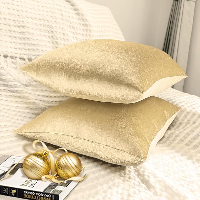 2 Pack 16x16 Pillow Cover Velvet Pillow Covers, Square Throw Pillow Covers for Living Room Decorations Throw Pillow Case, Throw Pillow Cover Cushion Cover for Home Sofa Bedroom Car, Champagne