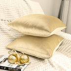2 Pack 20x20 Pillow Cover Velvet Pillow Covers, Square Throw Pillow Covers for Living Room Decorations Throw Pillow Case, Throw Pillow Cover Cushion Cover for Home Sofa Bedroom Car, Champagne