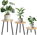 Frcctre 3 Pack Indoor Plant Stand, Wooden Mid Century Plant Stand Tall Plant Table Plant Holder Plant Riser for Flower Pots, Modern Home Decor Octagonal Shape Small Side End Table