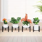 4 Pcs Mini 3Legs Adjustable Metal Plant Stand for 5"-10" Plant Pot – Indoor & Outdoor (Black, 4 Pcs)