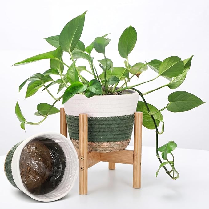 Remerry Plant Basket with Stand, Cotton Rope and Wicker Plants Baskets Indoor with Plastic Liner and Stand, Green White Woven Flower Pot for Indoor Home Living Room Floor Potted Decor(12inch)