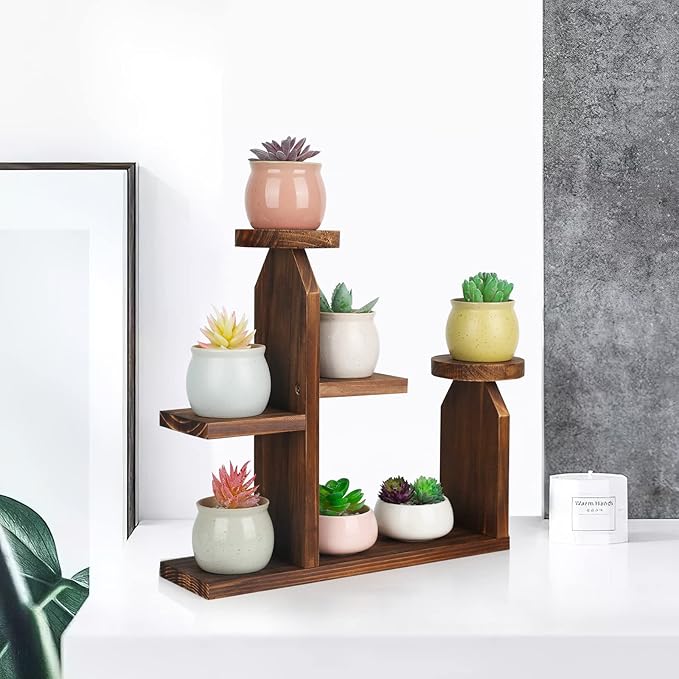 Wood Desktop Plant Stand - 5 Tier Tabletop Plant Shelf Windowsill Flower Shelf Holder Indoor, Small Succulent Herb Display Rack for Home Office Living Room Bedroom Decoration