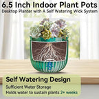 ZeeDix 3 Pack-6.5 Inch Hanging Planters for Indoor Plants, Self Watering Hanging Plant Pots with 3 Hooks and Drainage for Home, Wall, Window Decor Outdoor Use (Green, 6.5 inch)