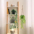 Giegxin Spring Mini Hanging Artificial Plant with Woven Basket Boho Fake Plants Ivy Faux Vines Eucalyptus Leaf for Indoor Home Wall Shelf Decor(6 Set,Green,Artificial Hanging Plants)