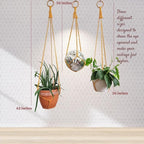 Set of 3 Macrame plant hanger for pots 4-10” live plants indoor and outdoor decor hanging plant holder Boho décor Plant stand Indoor plant shelf for Hanging planter for plant pots (Sunshine Yellow)