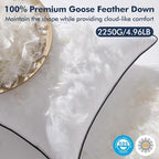 MIULEE Goose Feather Down 28x28 Euro Pillow Insert Set of 2 with 100% Down-Proof Cotton Cover, Soft Fluffy Decorative Pillow for Sofa Bed Couch Living Room White