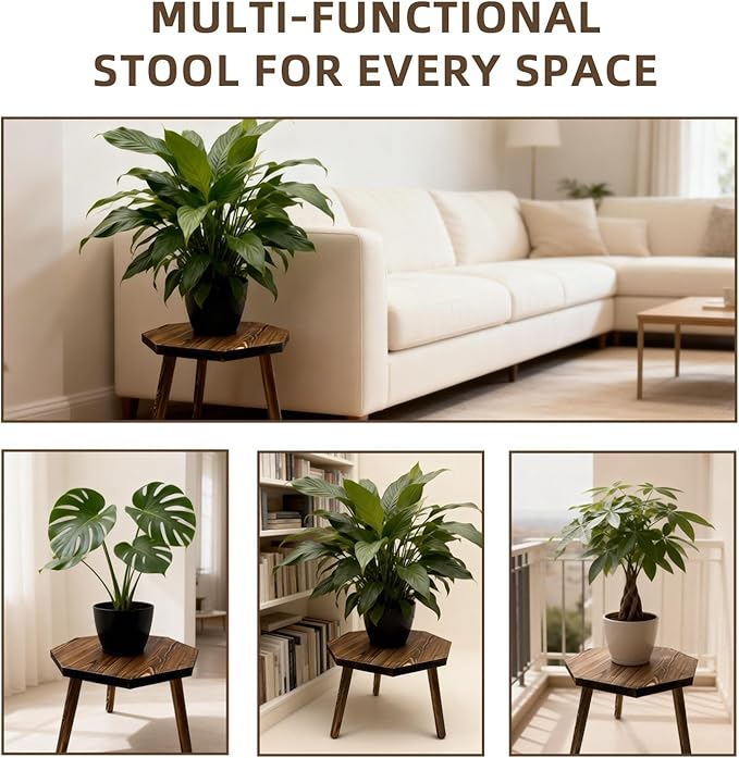 Plant Stand for Indoor Outdoor, 12x12in Large Octagon Wooden Plant Stand, Mid Century Modern Boho Stool for 5-15 Inch Pots, Sturdy Planter Stands