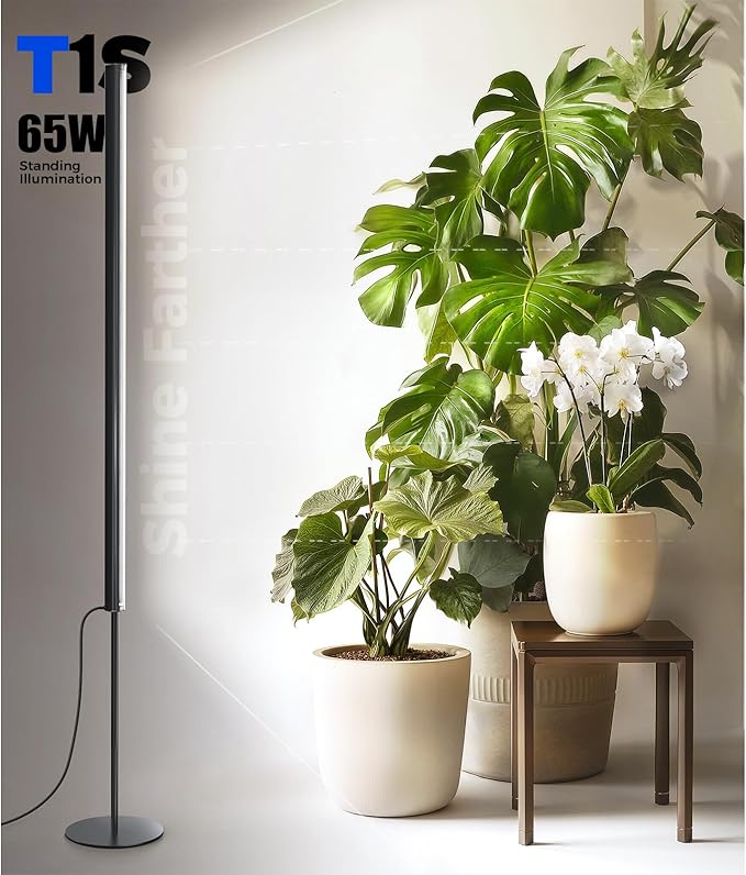 Barrina T1S Standing Grow Light for Indoor Plants with Timer, 65W 5000K High PPFD Full Spectrum, Tera Series Vertical Grow Lights Adjustable Height 5FT-5.6FT, Foot Switch, Non-Glare Design, Black