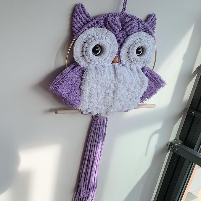 Macrame Owl Wall Hanging Boho Hippy Decor, Handmade Tapestry Fiber Art Wall Decor for Nursery Bedroom Living Room, Sustainable Gift for Owl Lovers & Nature Fans