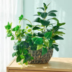 AlphaAcc 17" Fake Plants Potted Mixed Ficus Pothos Eucalyptus Arrangement with Oval Rattan Woven Basket Planter Realistic Faux Greenery Artificial Plants for Living Room Bedroom Kitchen Office Decor