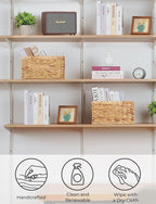 StorageWorks Wicker Basket, Baskets for Organizing, Storage Basket with Built-in Handles, Water Hyacinth Shelves (Medium 2-Pack, Natural Hyacinth)