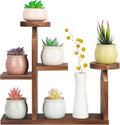 Wood Desktop Plant Stand - 5 Tier Tabletop Plant Shelf Windowsill Flower Shelf Holder Indoor, Small Succulent Herb Display Rack for Home Office Living Room Bedroom Decoration