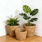 6 Pcs Plant Baskets Indoor with Plastic Liners, Wicker Hand Woven Plant Baskets, Flower Pots Storage Containers in 3 Sizes, Decorative Planters for Home, Balcony, Office