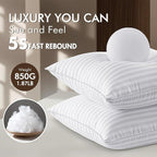 MIULEE 20x20 Pillow Inserts, Firm and Fluffy Decorative Square Throw Pillows for Couch Sofa Bed, Down Alternative with 100% Cotton Cover Pack of 2
