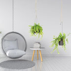 4 Pcs Hanging Plant Extender Macrame Plant Hanger Extender Large Hanging Rope for Spring Wall Holders Indoor Outdoor Home Decor