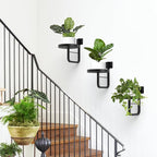 Wall Plant Holder, 7.9 Inch Hanging Plant Holder Wall Planters for Indoor Plants, Wall Mounted Plant Holder Window Plant Shelves for Outdoor Metal Wall Planter Black 2Pcs