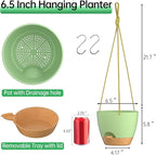 ZMTECH 6.5 Inch Hanging Planters for Indoor Outdoor Plants, 2 Pack Self Watering Hanging Plant Pots with Drainage Holes and Removable Saucer, Plastic Flower Hanging Pots with Watering Lip (Green)