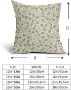 Sage Green Floral Pillow Covers 22x22 Set of 2 Spring Vintage Rustic Old Style Cute Flower Green Cream Print Decorative Outdoor Pillowcases Farmhouse Throw Cushion Case Decor for Couch Sofa Bed