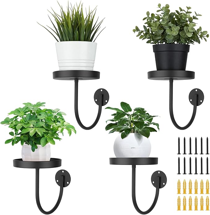 4 Pack Wall Plant Holder,Wall Planters for Indoor Plants,Plant Hanger Indoor,Metal Plant Wall Hanger,Hanging Plant Holder（Black）