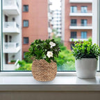 Woven Planter Basket, Seagrass Basket Planters, Hyacinth Woven Flower Pot Rattan Wicker Plant Pot, for Desktop and Home Organization