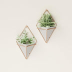 Umbra Trigg Hanging Planter Vase Wall Decor, Set of 2 Pots Containers for Succulents, Cactus, Faux Plants, and More, Small, Grey/Copper