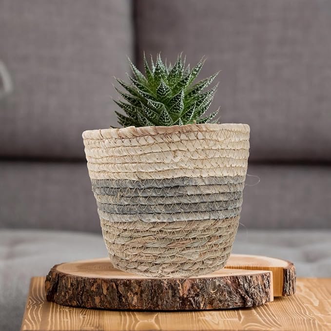 2PCS Plant Baskets Indoor with Liner Rattan Pots Planter Baskets Seagrass Indoor Planter Wicker Planters for and Outdoor Plants