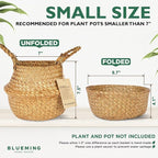 Basket Planter for Indoor Plants – 7 Inch Small Woven Wicker Pot for Olive Tree, Faux Plants, or Snake Plant, Handwoven Seagrass Basket with Handles (Original, Small)