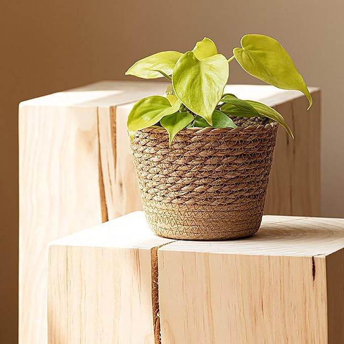 Jute Rope Plant Basket Indoor Modern Woven Flower Pot Basket Seagrass Storage Organizer Planter Rustic Decorative Plant Containers Cover Laundry Bin for Porch Living Room Entryway (7.87×7.87×6.29Inch)