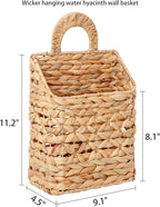 Wicker hanging basket, Water Hyacinth Wall Basket, Rustic Handwoven Hanging Storage Basket with Metal Frame for Farmhouse Home Decor, Garden or Organizing (1-Tier)