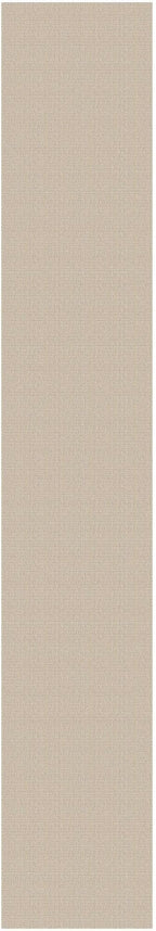 EARTHALL Runner Rug 3x16 Ft Washable Runners for Hallways Extra Long Woven Non Slip Entryway Runner Braided Kitchen Runner Indoor Outdoor Carpet Runners for Hotels, Hall, Stair, Beige/Khaki