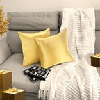 2 Pack 20x20 Pillow Cover Velvet Pillow Covers, Square Throw Pillow Covers for Living Room Decorations Throw Pillow Case, Throw Pillow Cover Cushion Cover for Home Sofa Bedroom Car, Gold