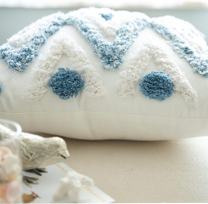 Set of 2 Cotton Woven Boho Throw Pillow Covers, Tufted Decorative Square Pillowcases Covers with Tassels for Couch Sofa Bed, Living Room Sofa, Farmhouse, 20x20 Inch Blue(2 pcs)
