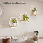 Modern White Hexagon Wall Planters with Solid Wood Shelves Set of 3 Geometric Floating Wall Decor for Indoor Plants, Stylish Wall Mounted Display for Succulents & Small Plants