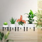 4 Pcs Three Legs Adjustable Metal Plant Stand for 5"-10" Plant Pot – Indoor & Outdoor (Black, 4 Pack)