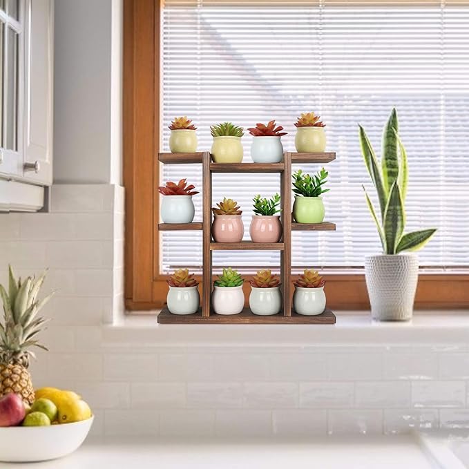 Wood Desktop Plant Stand Indoor Small Windowsill Flower Shelf Tabletop Plant Shelf Holder Display Rack for Succulent Herb in Living Room Office 9 Tiers