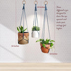 Set of 3 Macrame plant hanger for pots 4-10” live plants indoor and outdoor decor hanging plant holder Boho décor Plant stand Indoor plant shelf for Hanging planter for plant pots (Peacock Blue)